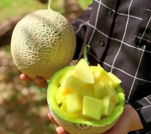 娱乐圈吃瓜壁纸图片大全,揭秘明星幕后故事