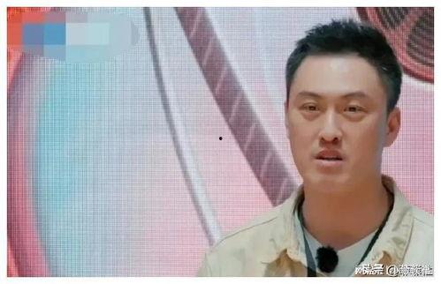 娱乐圈吃瓜爆料陈赫,揭秘背后的真相与争议